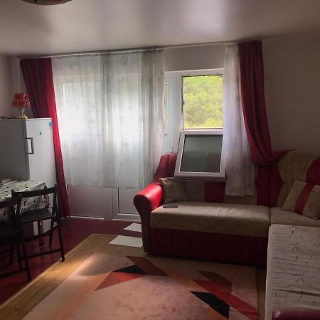 Garsoniera Lazaroiu Appartamento Băile Govora Esterno foto